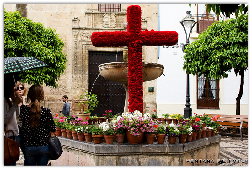 Foto: CRUCES DE MAYO - Córdoba (Andalucía), España