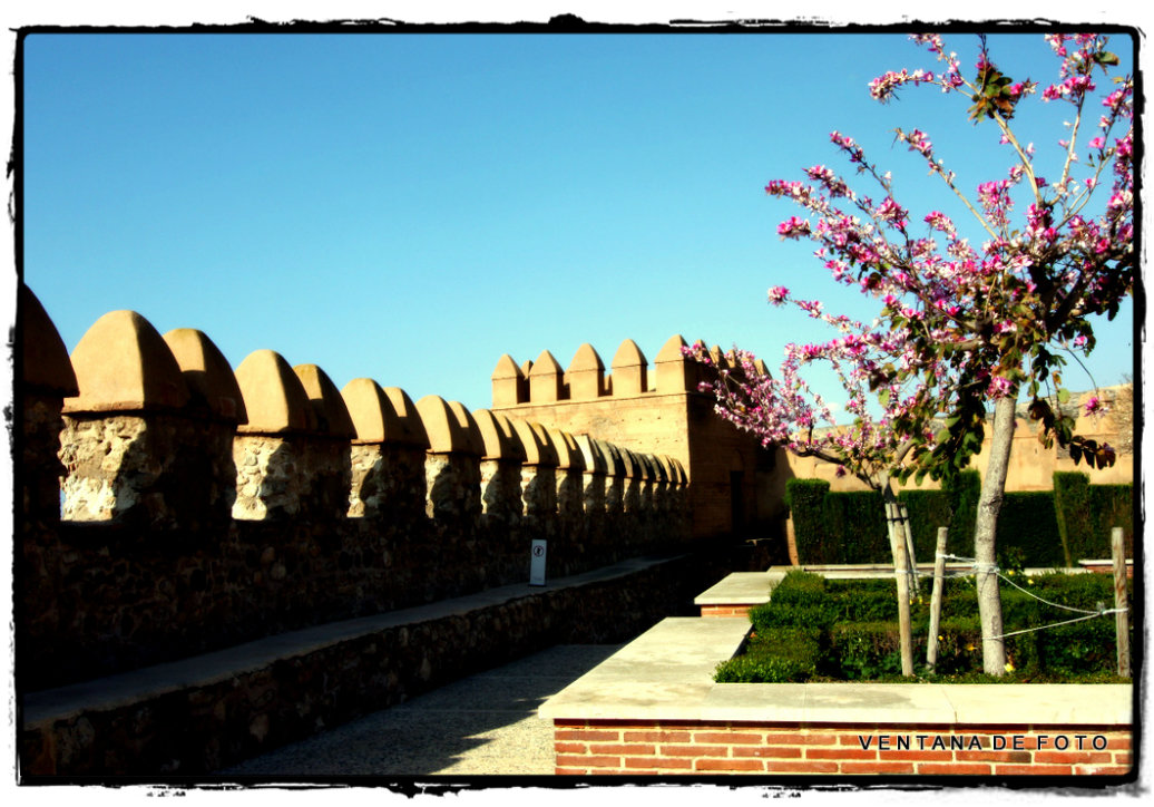 Foto: LA ALCAZABA - Almería (Andalucía), España