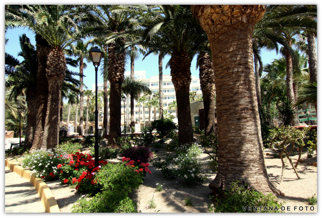 Foto de Roquetas De Mar (Almería), España