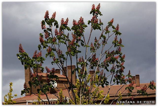 Foto: NUBES SOBRE MADRID - Madrid (Comunidad de Madrid), España