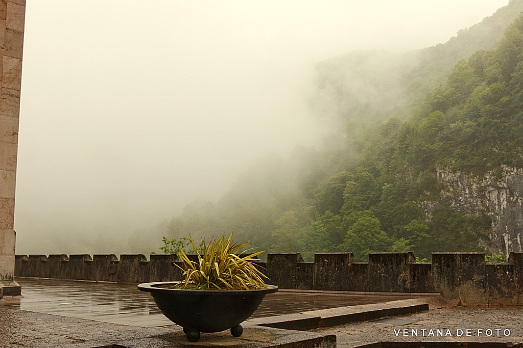 Foto: COVADONGA (NIEBLA) - Cangas De Onís (Asturias), España