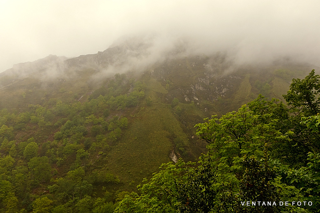 Foto: COVADONGA (NIEBLA) - Cangas De Onís (Asturias), España
