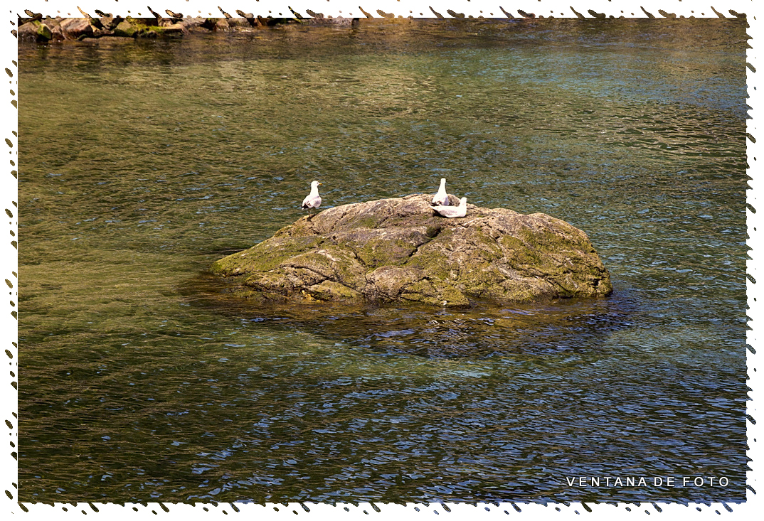 Foto de Cudillero (Asturias), España