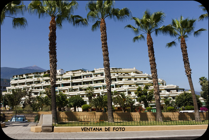 Foto de Puerto De La Cruz (Santa Cruz de Tenerife), España