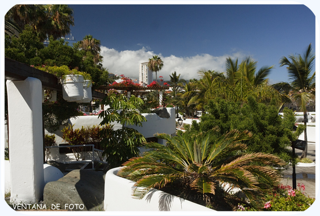 Foto de Puerto De La Cruz (Santa Cruz de Tenerife), España