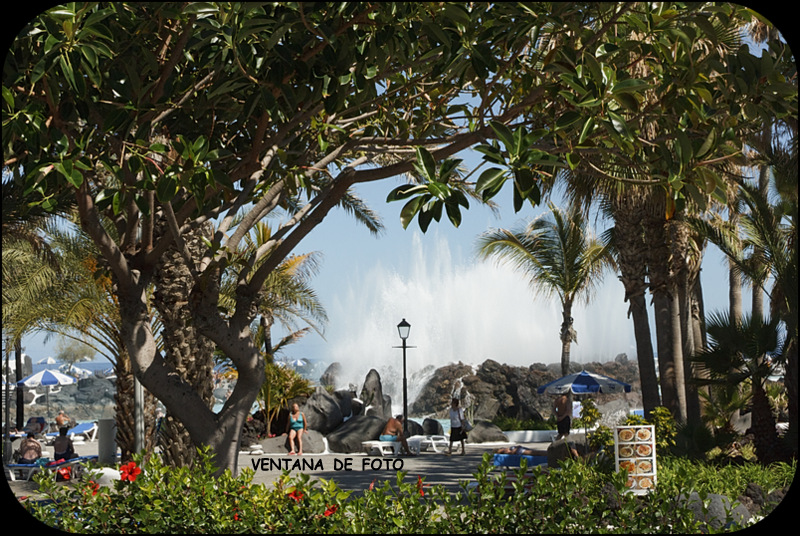 Foto de Puerto De La Cruz (Santa Cruz de Tenerife), España