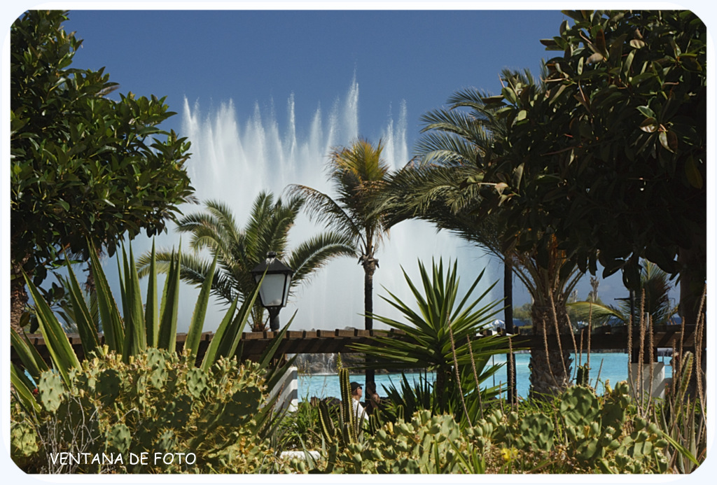 Foto de Puerto De La Cruz (Santa Cruz de Tenerife), España