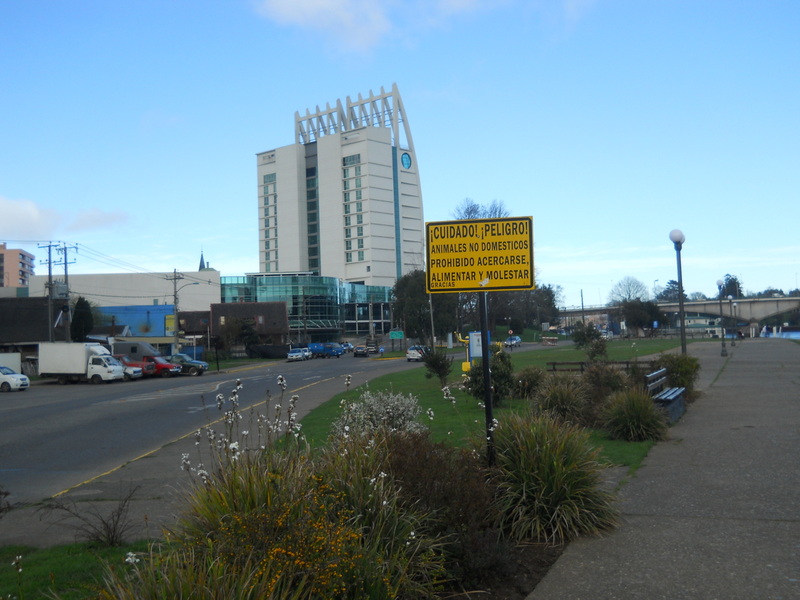 Foto: Valdivia - Valdivia (Región de Los Ríos), Chile