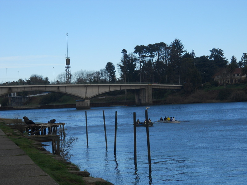 Foto: Valdivia - Valdivia (Región de Los Ríos), Chile