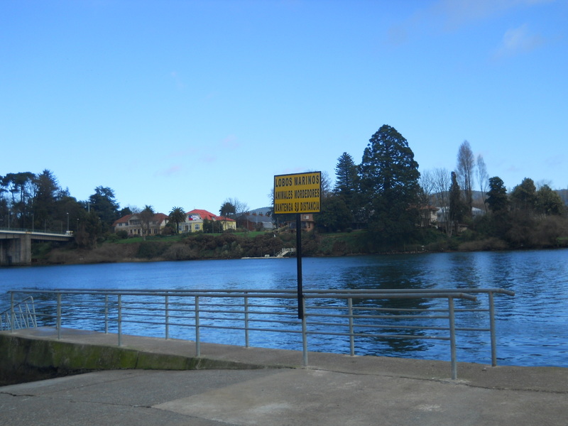 Foto: Valdivia - Valdivia (Región de Los Ríos), Chile