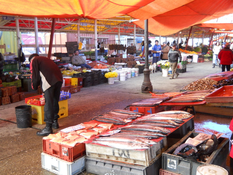 Foto: Valdivia - Valdivia (Región de Los Ríos), Chile