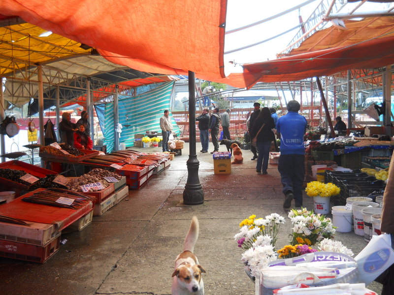 Foto: Valdivia - Valdivia (Región de Los Ríos), Chile