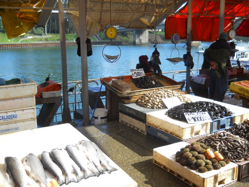 Foto: Valdivia - Valdivia (Región de Los Ríos), Chile