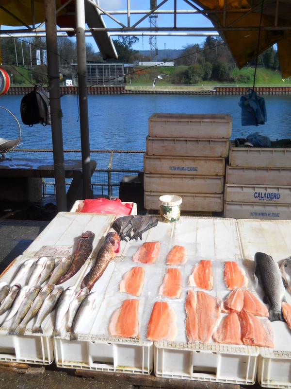 Foto: Valdivia - Valdivia (Región de Los Ríos), Chile