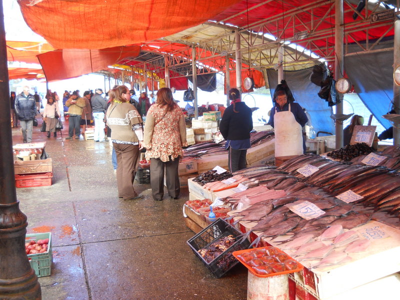 Foto: Valdivia - Valdivia (Región de Los Ríos), Chile