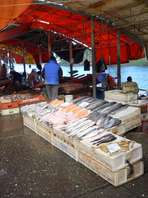Foto: Valdivia - Valdivia (Región de Los Ríos), Chile