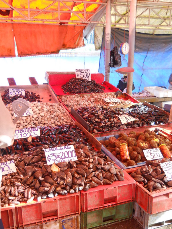 Foto: Valdivia - Valdivia (Región de Los Ríos), Chile