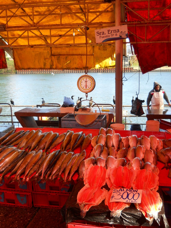 Foto: Valdivia - Valdivia (Región de Los Ríos), Chile