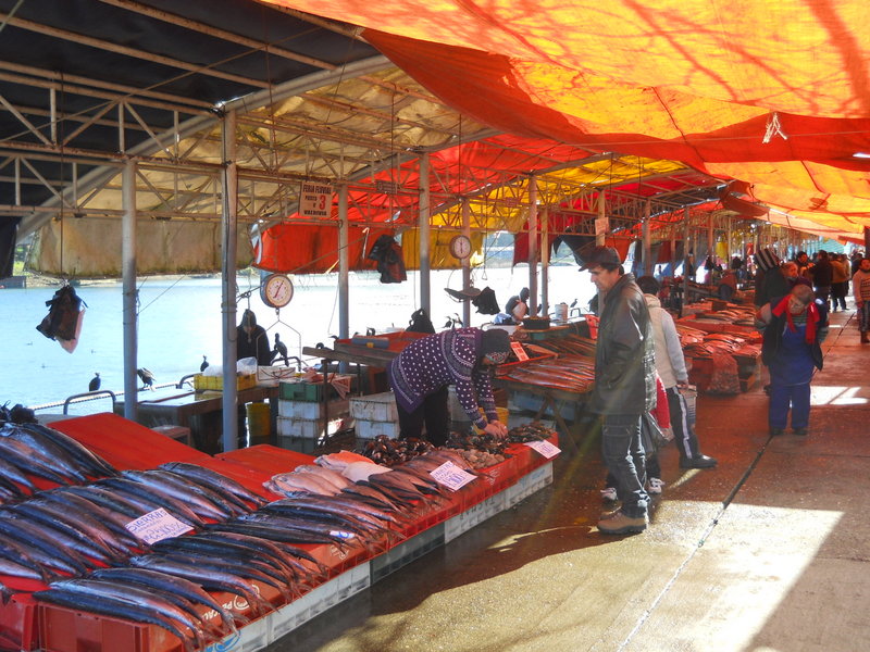 Foto: Valdivia - Valdivia (Región de Los Ríos), Chile