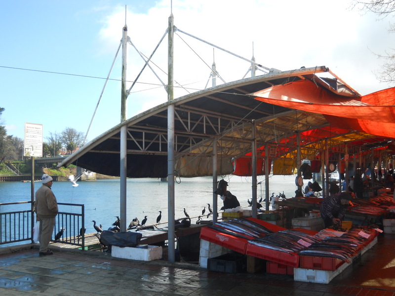 Foto: Valdivia - Valdivia (Región de Los Ríos), Chile