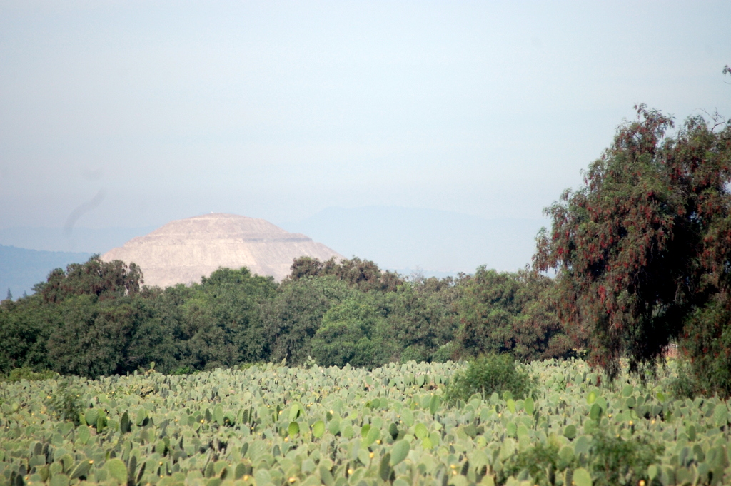 Foto de Municipio de San Juan (México), México