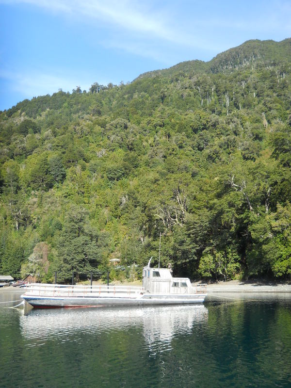 Foto: Puerto Varas - Puerto Varas (Los Lagos), Chile