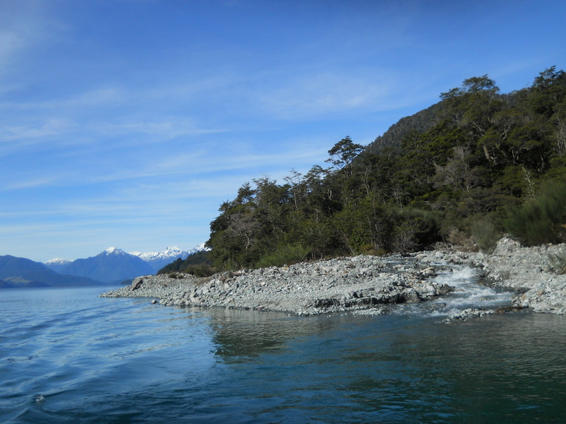 Foto: Puerto Varas - Puerto Varas (Los Lagos), Chile