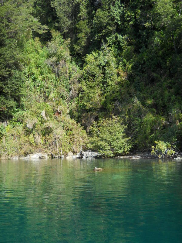 Foto: puerto varas - Puerto Varas (Los Lagos), Chile