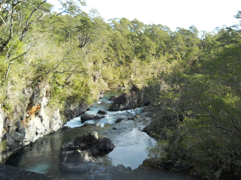 Foto: Puerto Varas - Puerto Varas (Los Lagos), Chile