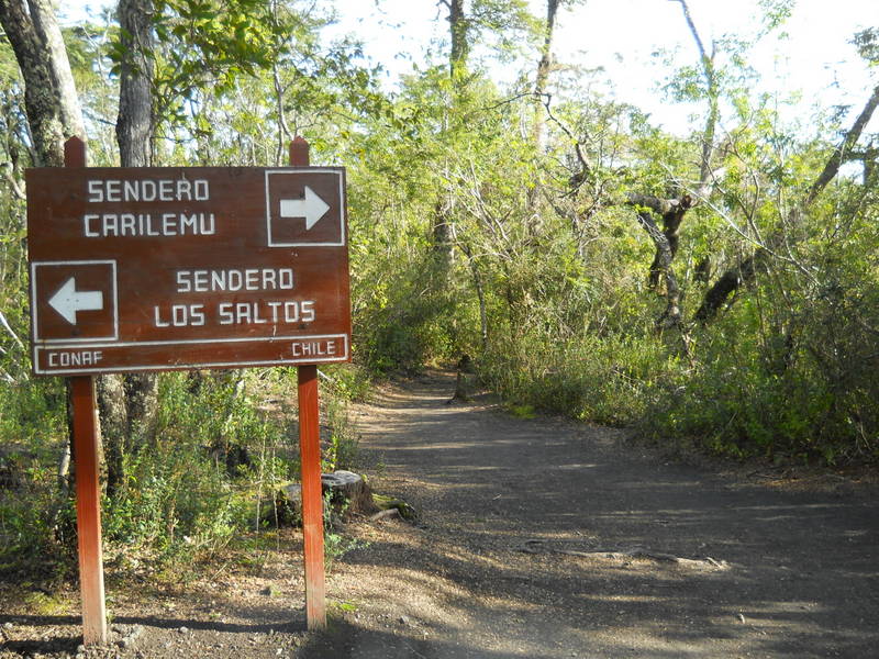 Foto: Puerto Varas - Puerto Varas (Los Lagos), Chile