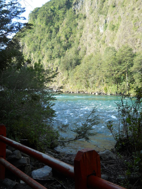 Foto: Puerto Varas - Puerto Varas (Los Lagos), Chile