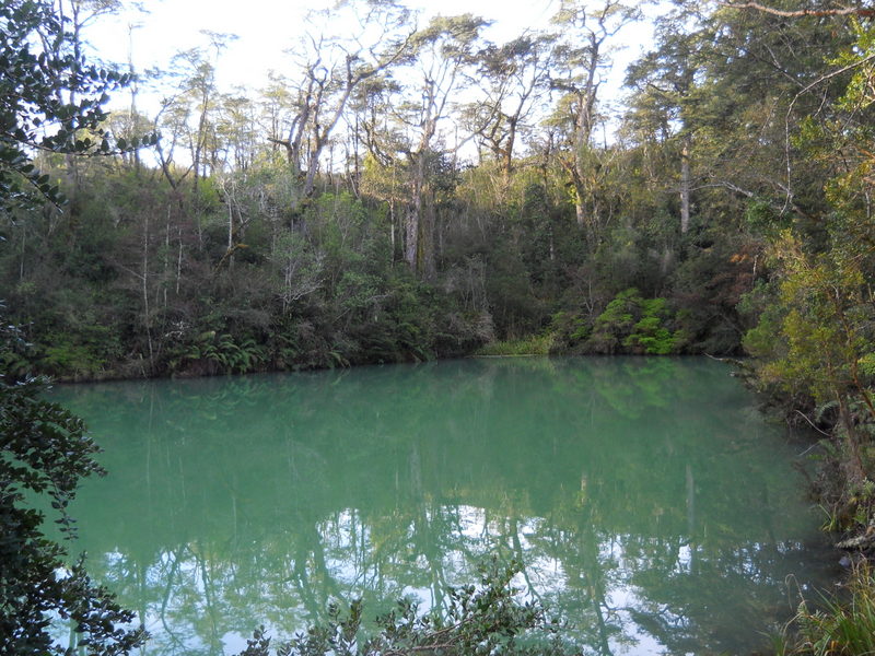 Foto: Puerto Varas - Puerto Varas (Los Lagos), Chile