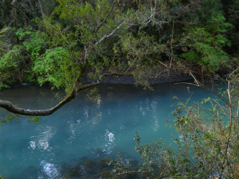 Foto: Puerto Varas - Puerto Varas (Los Lagos), Chile