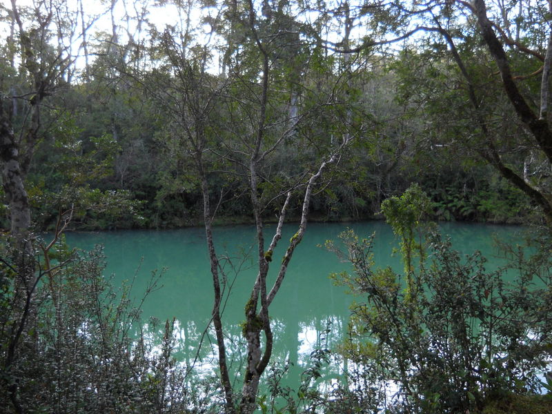 Foto: Puerto Varas - Puerto Varas (Los Lagos), Chile