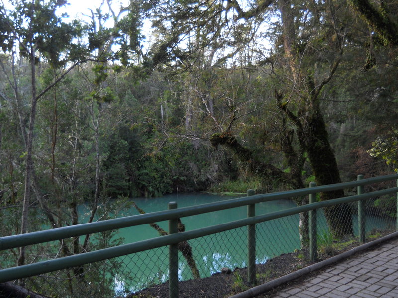Foto: Puerto Varas - Puerto Varas (Los Lagos), Chile