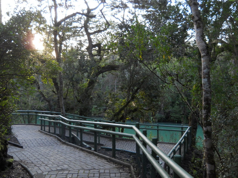 Foto: Puerto Varas - Puerto Varas (Los Lagos), Chile