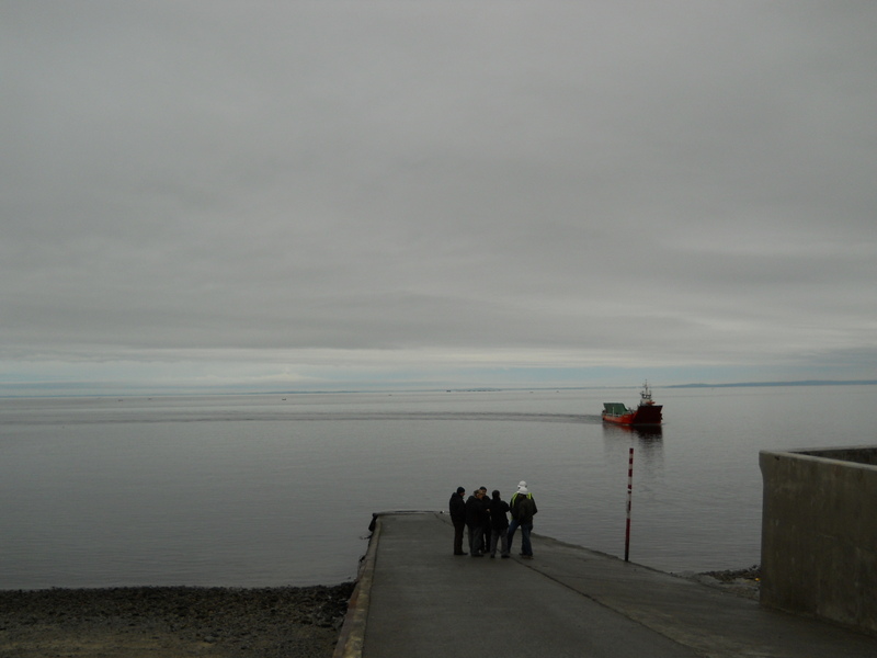 Foto: Caleta La Arena - Puerto Montt (Los Lagos), Chile