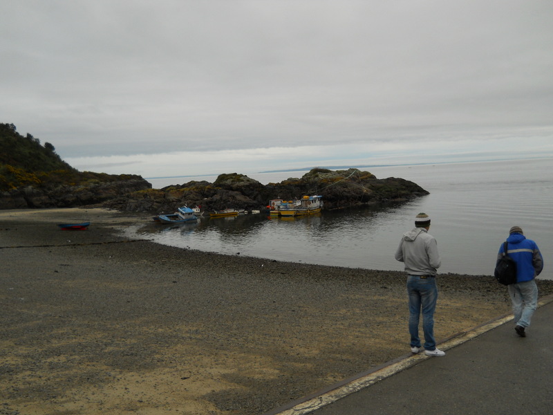 Foto: Caleta La Arena - Puerto Montt (Los Lagos), Chile