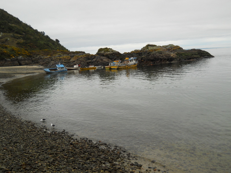 Foto: Caleta La Arena - Puerto Montt (Los Lagos), Chile