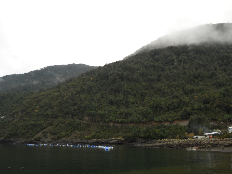 Foto: Caleta La Arena - Puerto Montt (Los Lagos), Chile