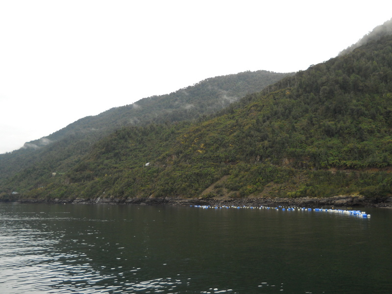 Foto: Caleta La Arena - Puerto Montt (Los Lagos), Chile