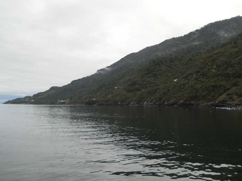 Foto: Caleta La Arena - Puerto Montt (Los Lagos), Chile