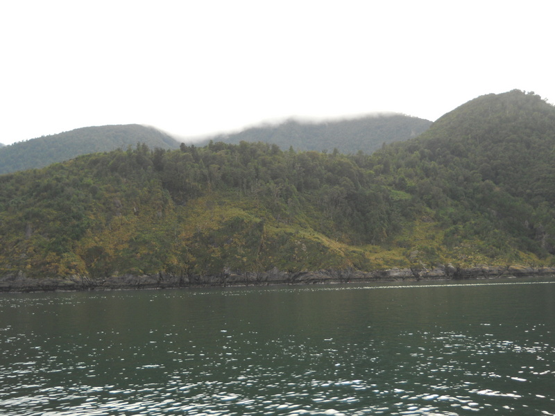 Foto: Puerto Montt - Puerto Montt (Los Lagos), Chile