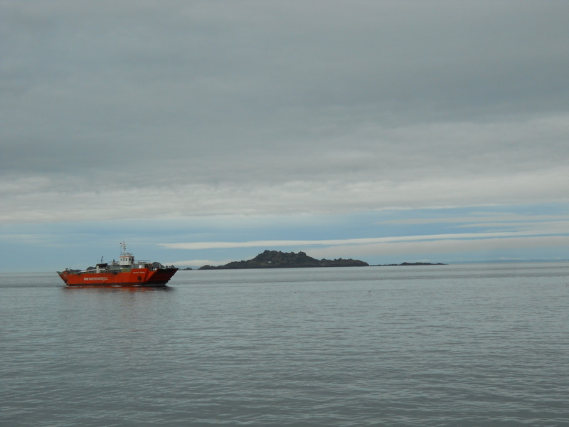 Foto: Puerto Montt - Puerto Montt (Los Lagos), Chile