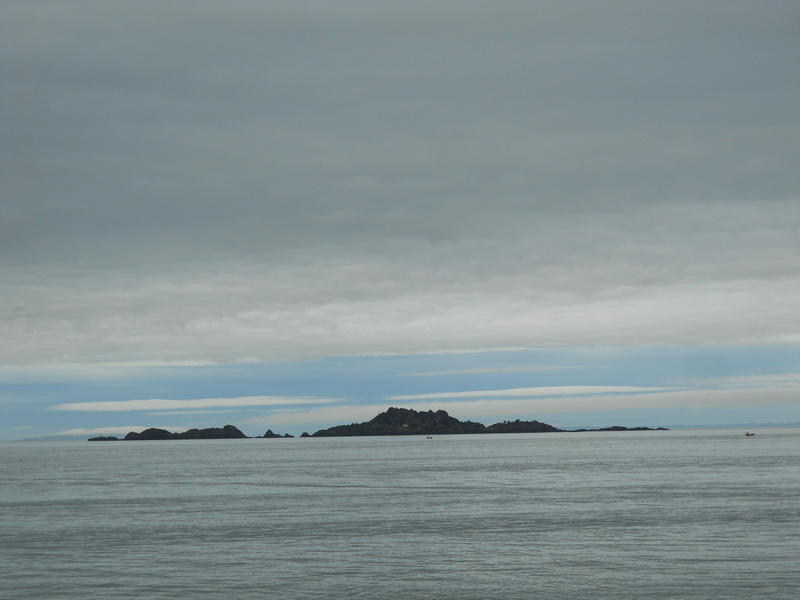 Foto: Puerto Montt - Puerto Montt (Los Lagos), Chile