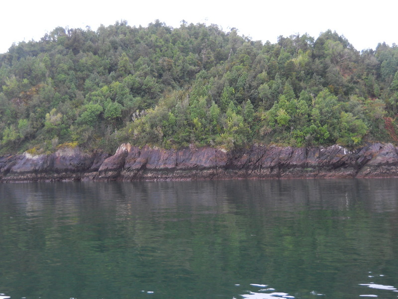 Foto: Puerto Montt - Puerto Montt (Los Lagos), Chile