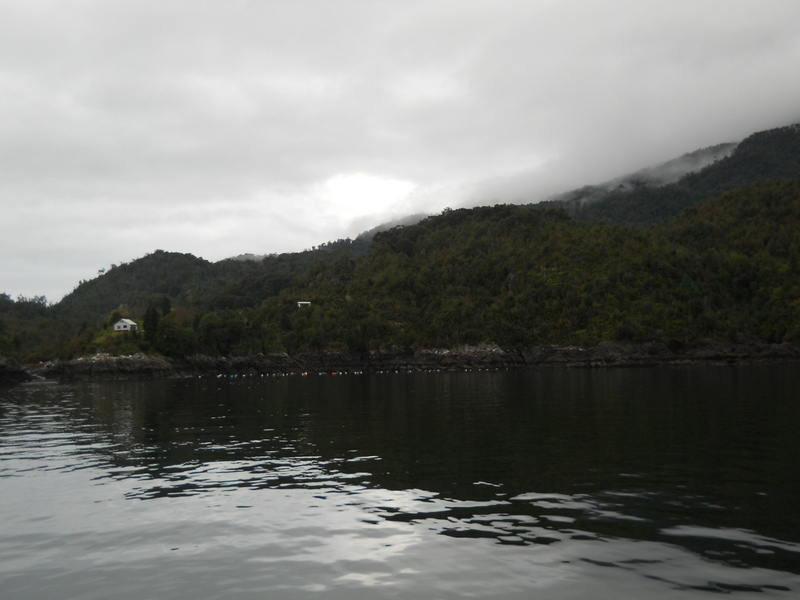 Foto: Puerto Montt - Puerto Montt (Los Lagos), Chile
