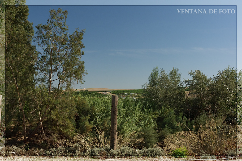 Foto: MARGEN DEL RÍO GENIL - Palma Del Río (Córdoba), España