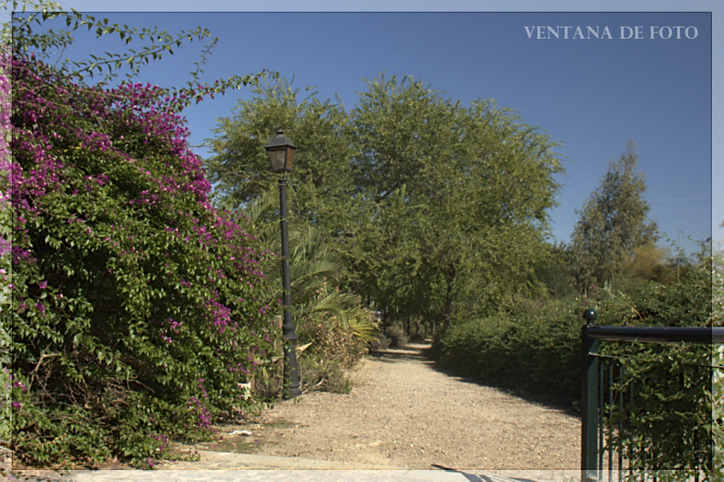 Foto: MARGEN DEL RÍO GENIL - Palma Del Río (Córdoba), España