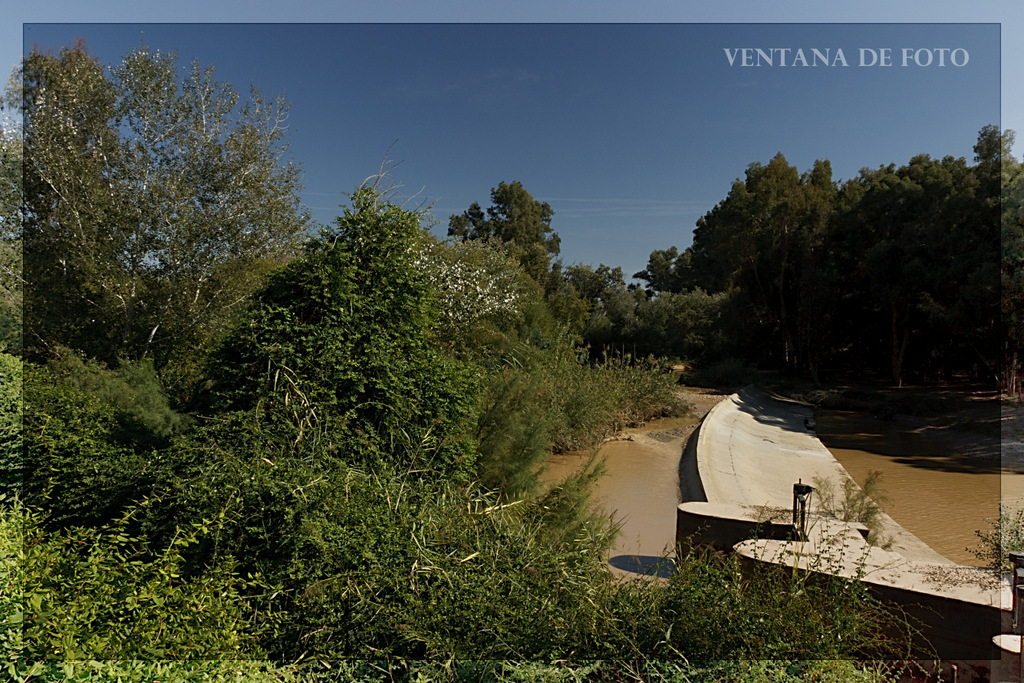 Foto: MARGEN DEL RÍO GENIL - Palma Del Río (Córdoba), España